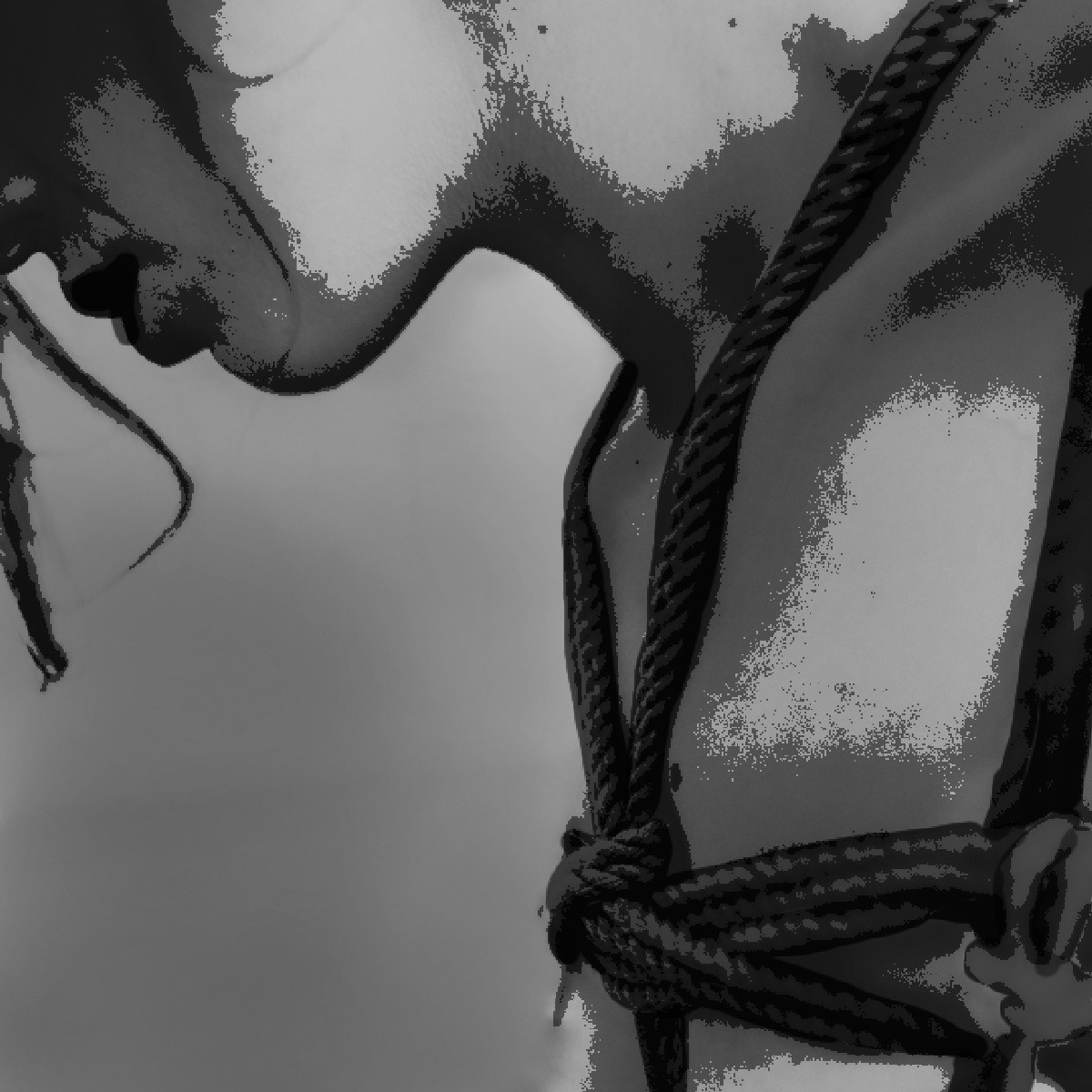 Shibari Bondage Performance Artwork Crypto Art NFT